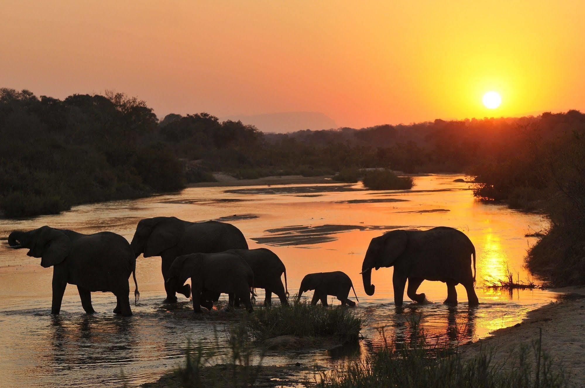 Inyati Game Lodge Metsi Esterno foto
